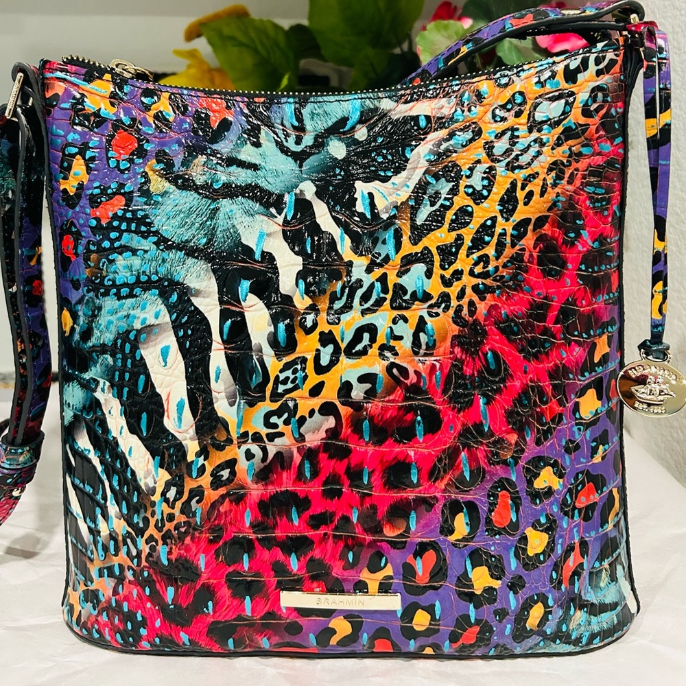 Brahmin Stampede Katie